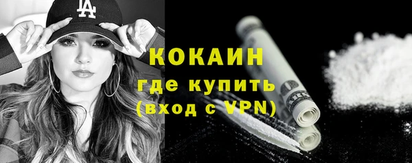 молекула духа Алексин