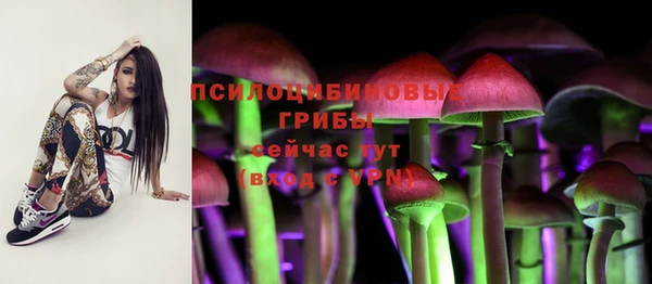 молекула духа Алексин