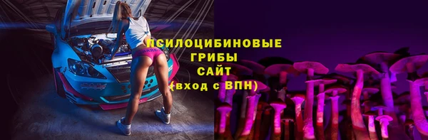 молекула духа Алексин